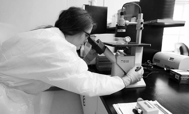 A researcher looking through a microscope